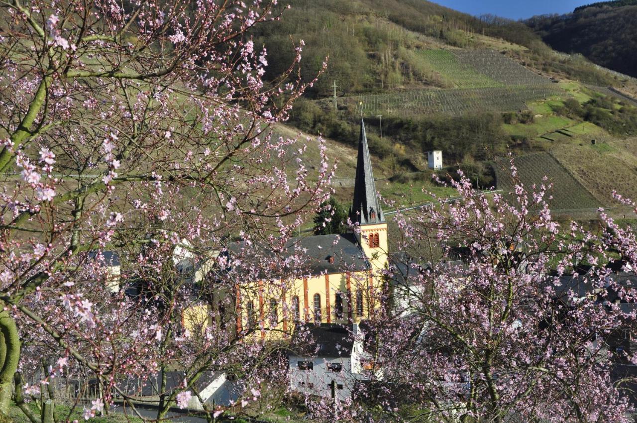 Gaestehaus Sehl Senheim Exterior photo